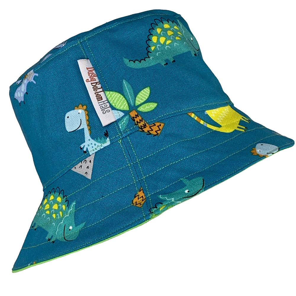 Dinosaur Aqua